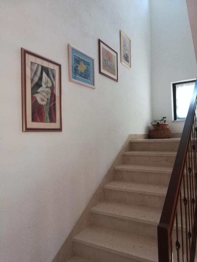 Apartments Tamara لوكفا روجوزنيكا المظهر الخارجي الصورة